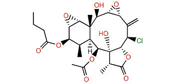 Briarenol Z